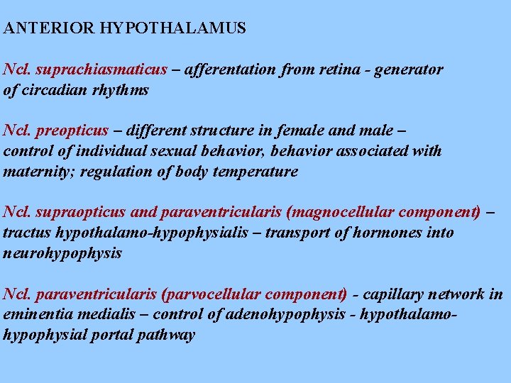 ANTERIOR HYPOTHALAMUS Ncl. suprachiasmaticus – afferentation from retina - generator of circadian rhythms Ncl.