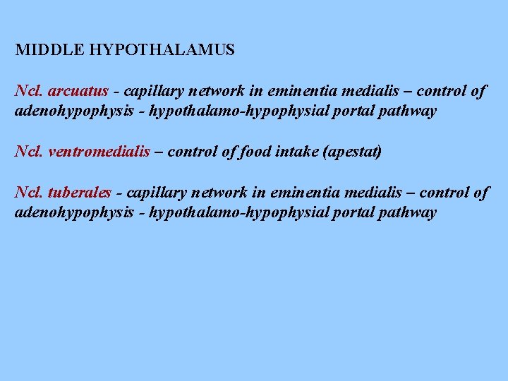 MIDDLE HYPOTHALAMUS Ncl. arcuatus - capillary network in eminentia medialis – control of adenohypophysis