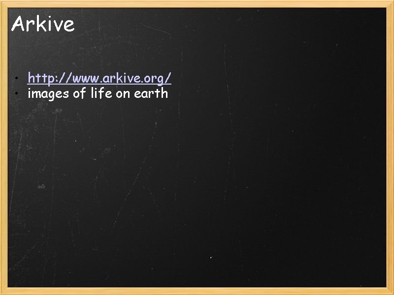 Arkive • http: //www. arkive. org/ • images of life on earth 