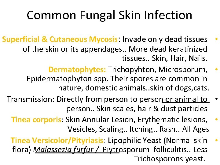 Common Fungal Skin Infection Superficial & Cutaneous Mycosis: Invade only dead tissues of the