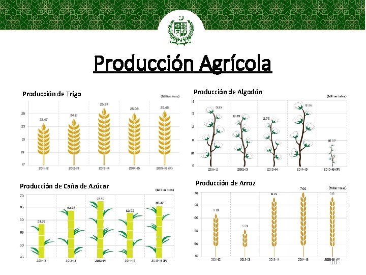 Producción Agrícola Producción de Trigo Producción de Caña de Azúcar Producción de Algodón Producción
