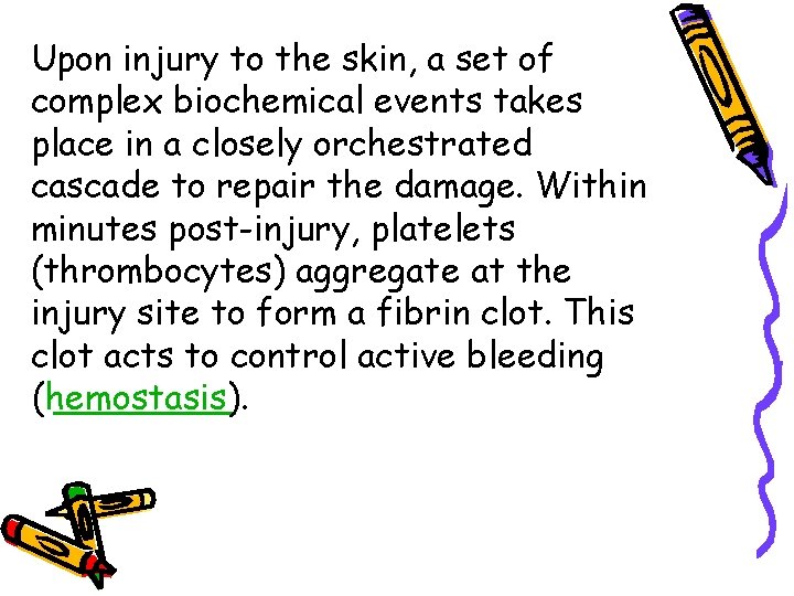 Upon injury to the skin, a set of complex biochemical events takes place in