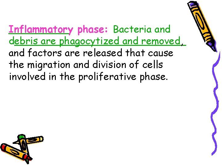 Inflammatory phase: Bacteria and debris are phagocytized and removed, and factors are released that