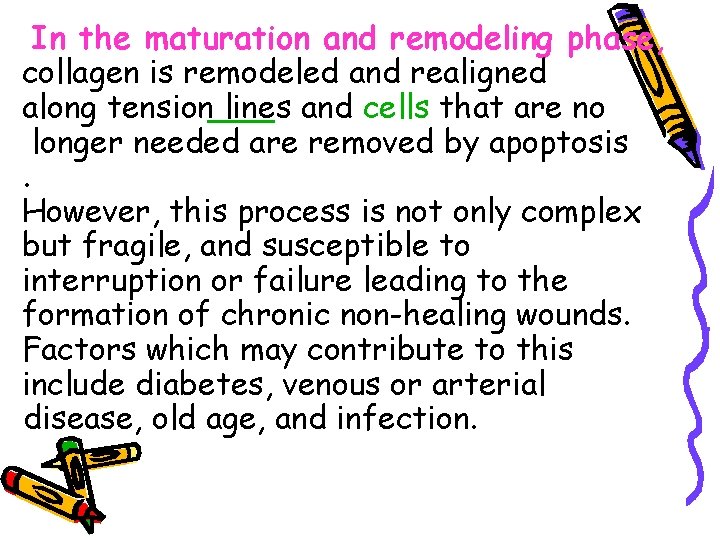 In the maturation and remodeling phase, collagen is remodeled and realigned along tension lines