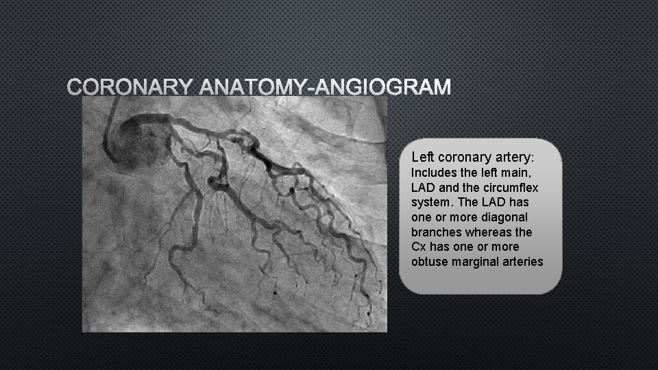 CORONARY ANATOMY-ANGIOGRAM Left coronary artery: Includes the left main, LAD and the circumflex system.