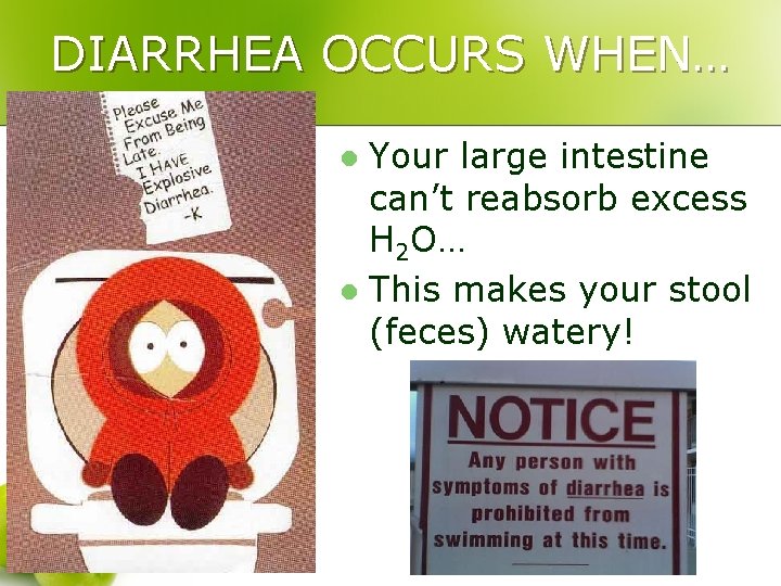 DIARRHEA OCCURS WHEN… Your large intestine can’t reabsorb excess H 2 O… l This