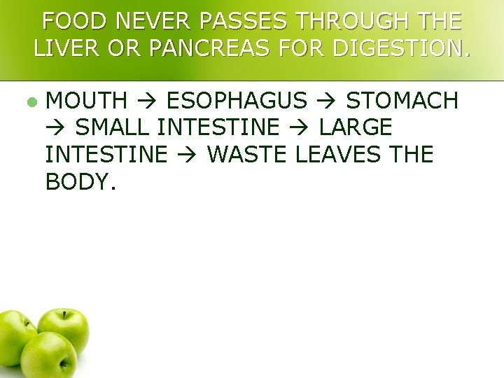 FOOD NEVER PASSES THROUGH THE LIVER OR PANCREAS FOR DIGESTION. l MOUTH ESOPHAGUS STOMACH