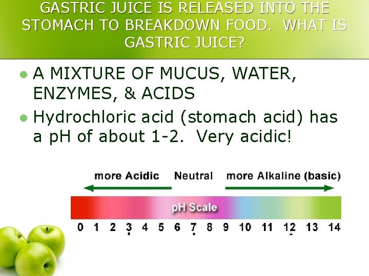 GASTRIC JUICE IS RELEASED INTO THE STOMACH TO BREAKDOWN FOOD. WHAT IS GASTRIC JUICE?