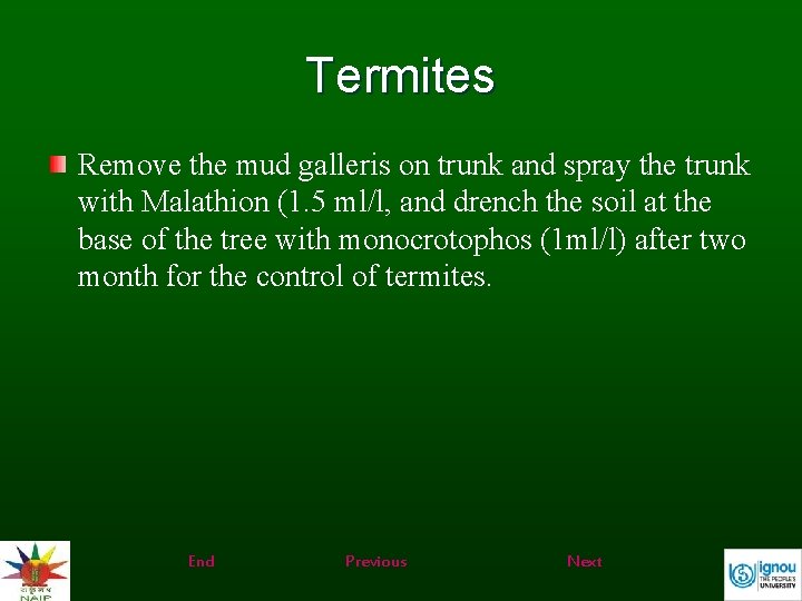 Termites Remove the mud galleris on trunk and spray the trunk with Malathion (1.