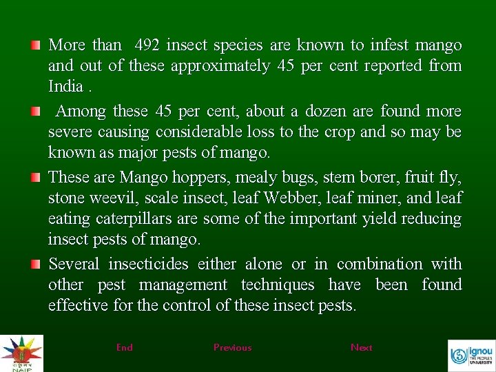 More than 492 insect species are known to infest mango and out of these
