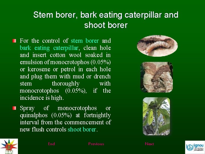 Stem borer, bark eating caterpillar and shoot borer For the control of stem borer