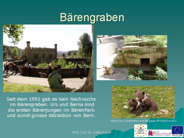 Bärengraben Seit dem 1992 gab es kein Nachwuchs im Bärengraben. Urs und Berna sind