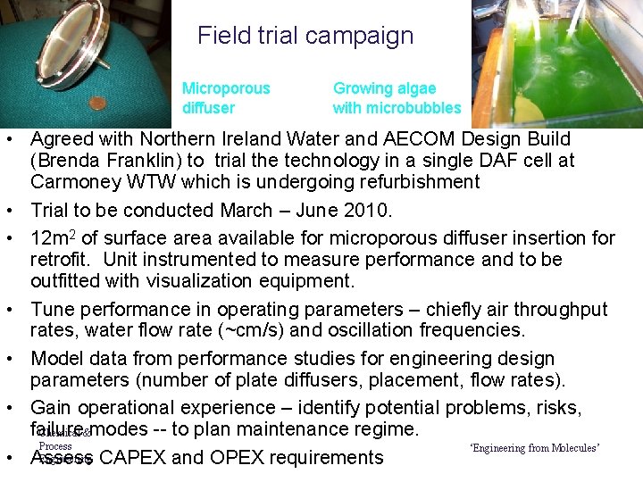 Field trial campaign Microporous diffuser Growing algae with microbubbles • Agreed with Northern Ireland