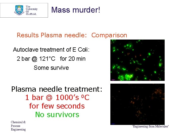Mass murder! Results Plasma needle: Comparison Autoclave treatment of E Coli: 2 bar @