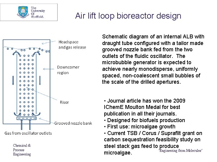 Air lift loop bioreactor design Schematic diagram of an internal ALB with draught tube