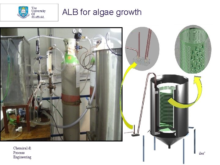 ALB for algae growth Chemical & Process Engineering ‘Engineering from Molecules’ 