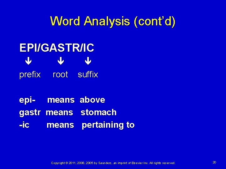 Word Analysis (cont’d) EPI/GASTR/IC prefix root epigastr -ic means suffix above stomach pertaining to