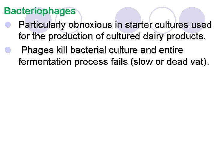 Bacteriophages l Particularly obnoxious in starter cultures used for the production of cultured dairy