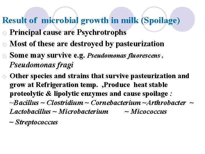 Result of microbial growth in milk (Spoilage) o Principal cause are Psychrotrophs o Most