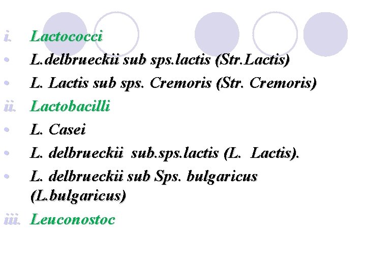 i. • • ii. • • • Lactococci L. delbrueckii sub sps. lactis (Str.