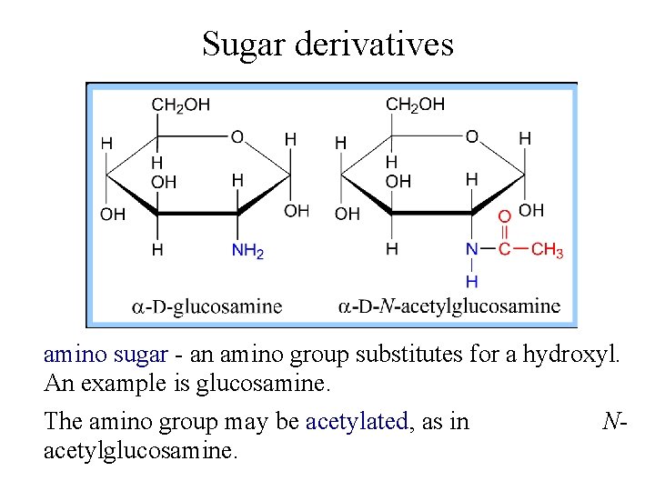 Sugar derivatives amino sugar - an amino group substitutes for a hydroxyl. An example