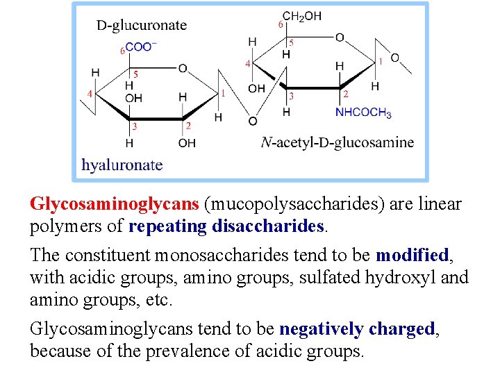 Glycosaminoglycans (mucopolysaccharides) are linear polymers of repeating disaccharides. The constituent monosaccharides tend to be
