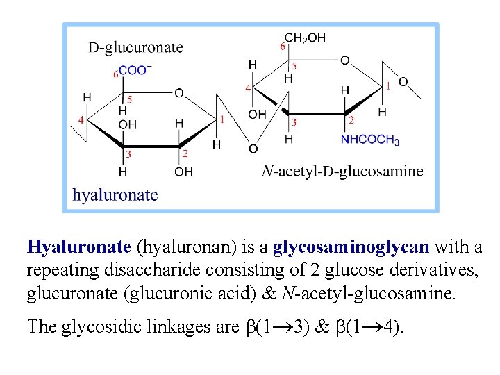 Hyaluronate (hyaluronan) is a glycosaminoglycan with a repeating disaccharide consisting of 2 glucose derivatives,