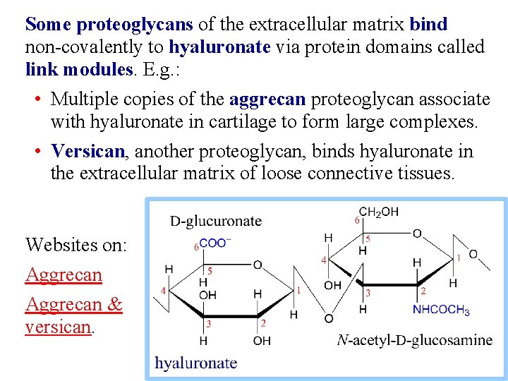 Some proteoglycans of the extracellular matrix bind non-covalently to hyaluronate via protein domains called