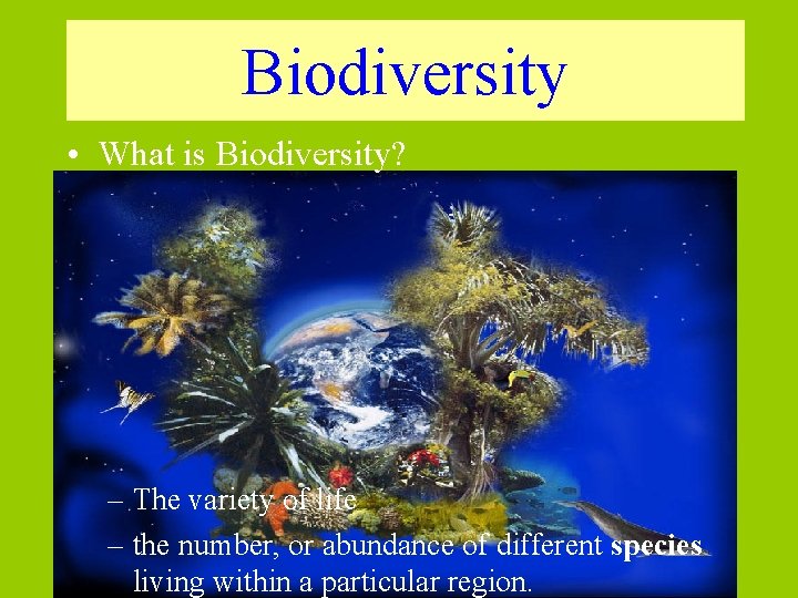 Biodiversity • What is Biodiversity? – The variety of life – the number, or