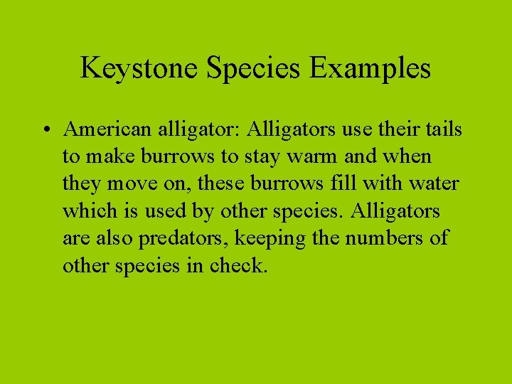 Keystone Species Examples • American alligator: Alligators use their tails to make burrows to