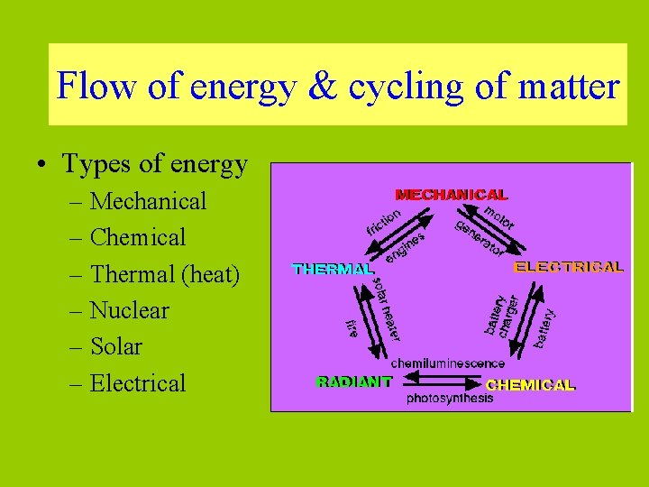 Flow of energy & cycling of matter • Types of energy – Mechanical –