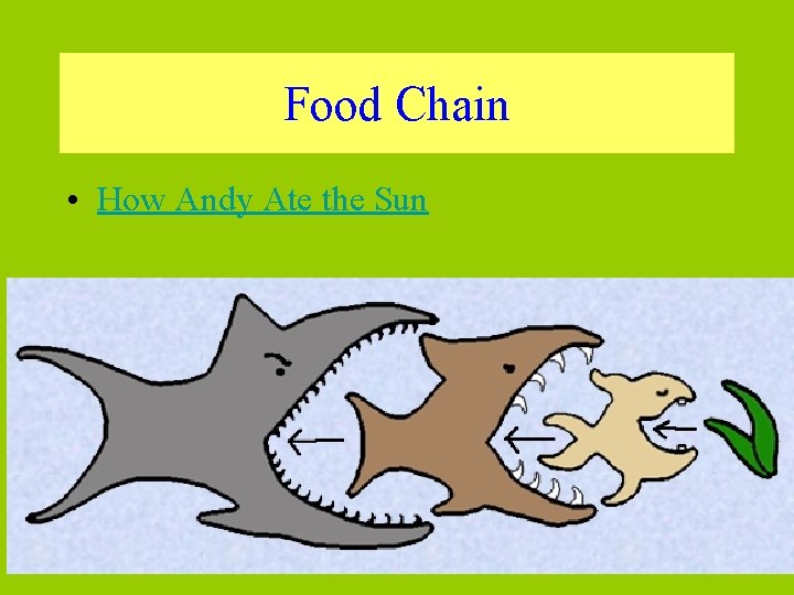 Food Chain • How Andy Ate the Sun 