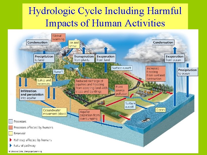 Hydrologic Cycle Including Harmful Impacts of Human Activities 