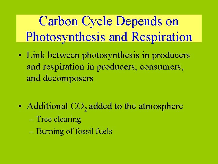 Carbon Cycle Depends on Photosynthesis and Respiration • Link between photosynthesis in producers and