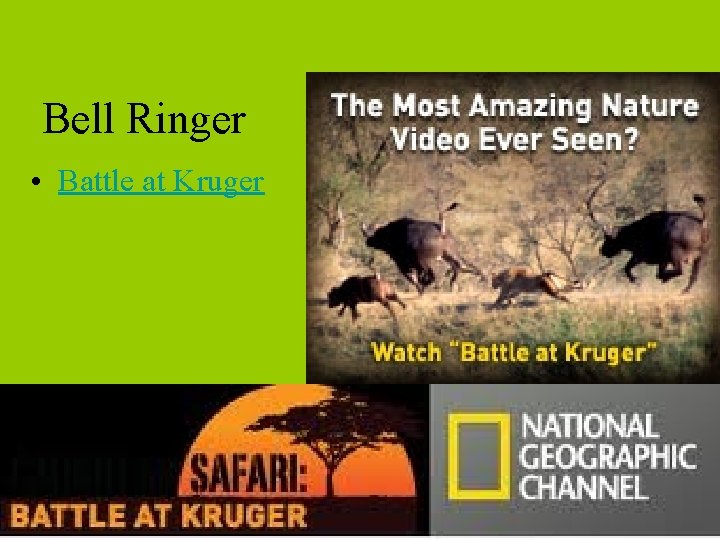 Bell Ringer • Battle at Kruger (long but cool) 