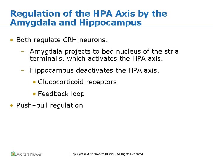 Regulation of the HPA Axis by the Amygdala and Hippocampus • Both regulate CRH