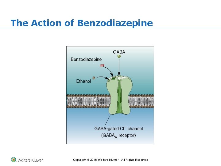 The Action of Benzodiazepine Copyright © 2016 Wolters Kluwer • All Rights Reserved 