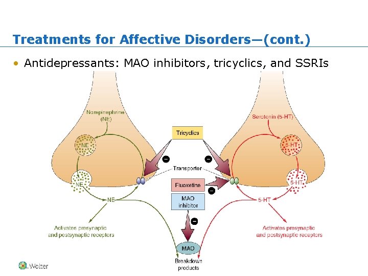 Treatments for Affective Disorders—(cont. ) • Antidepressants: MAO inhibitors, tricyclics, and SSRIs Copyright ©