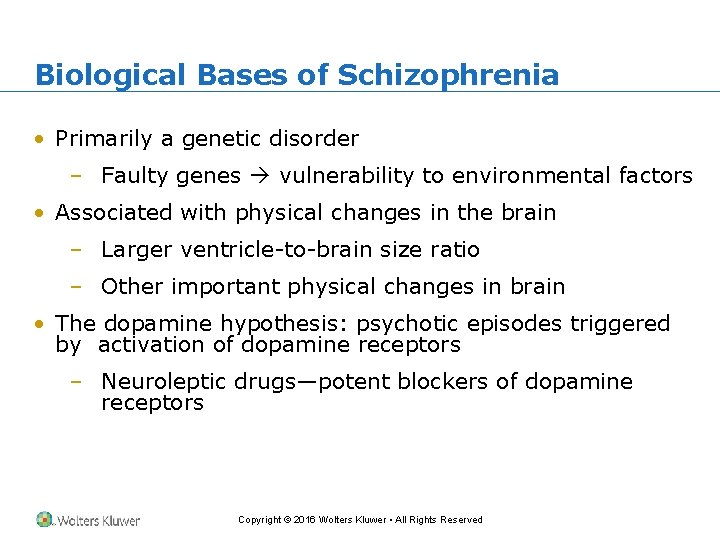 Biological Bases of Schizophrenia • Primarily a genetic disorder – Faulty genes vulnerability to