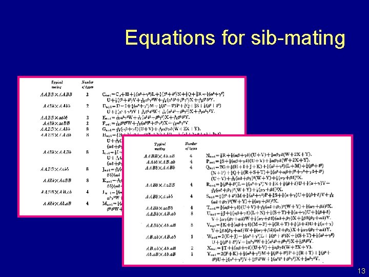 Equations for sib-mating 13 