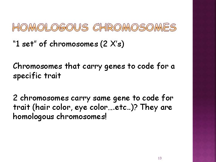 “ 1 set” of chromosomes (2 X’s) Chromosomes that carry genes to code for