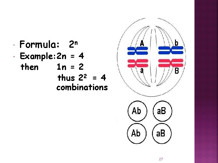  Formula: 2 n Example: 2 n = 4 then 1 n = 2