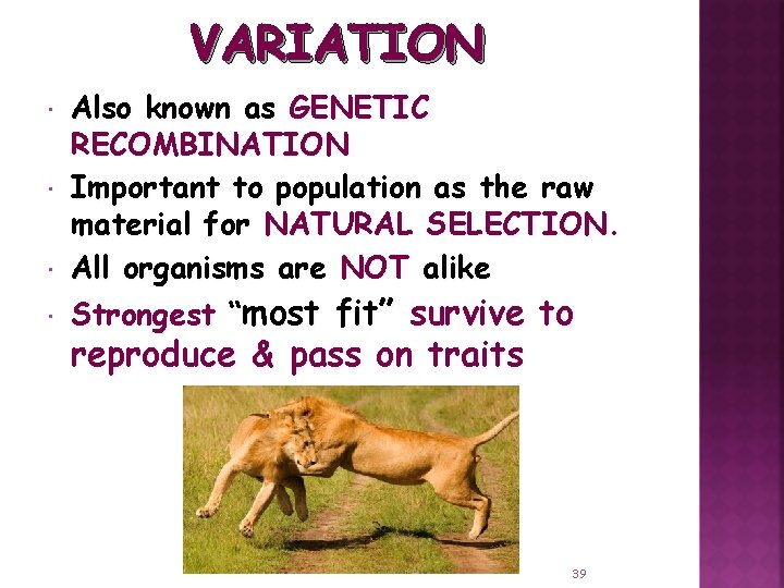 VARIATION Also known as GENETIC RECOMBINATION Important to population as the raw material for
