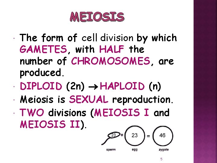 MEIOSIS The form of cell division by which GAMETES, with HALF the number of