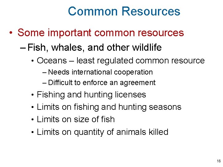 Common Resources • Some important common resources – Fish, whales, and other wildlife •