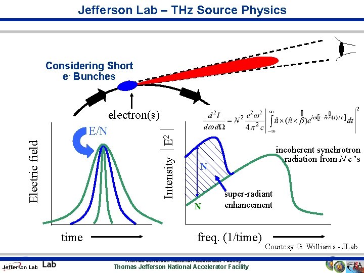 Jefferson Lab – THz Source Physics Considering Short e- Bunches Electric field E/N Intensity