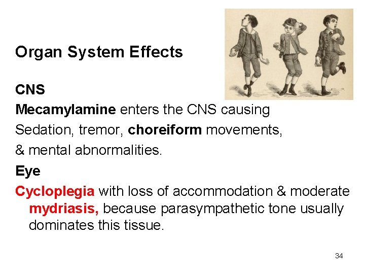Organ System Effects CNS Mecamylamine enters the CNS causing Sedation, tremor, choreiform movements, &