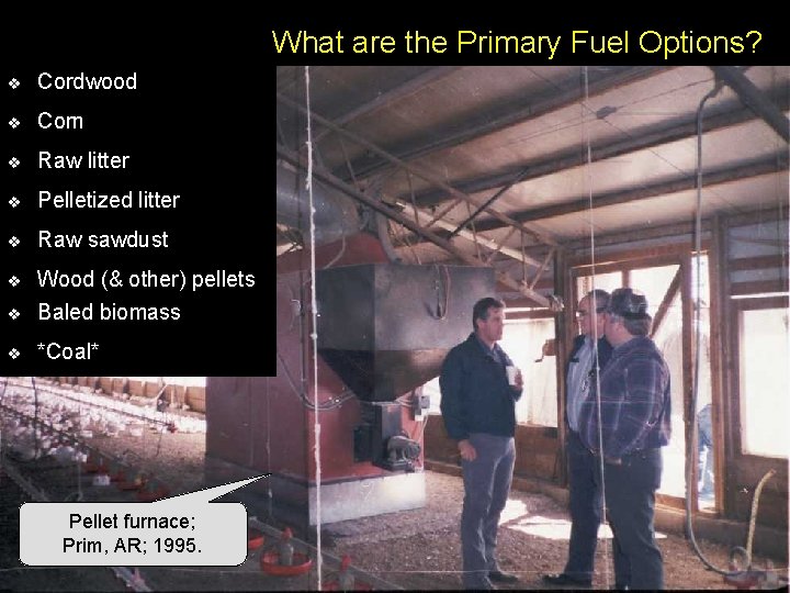 What are the Primary Fuel Options? v Cordwood v Corn v Raw litter v