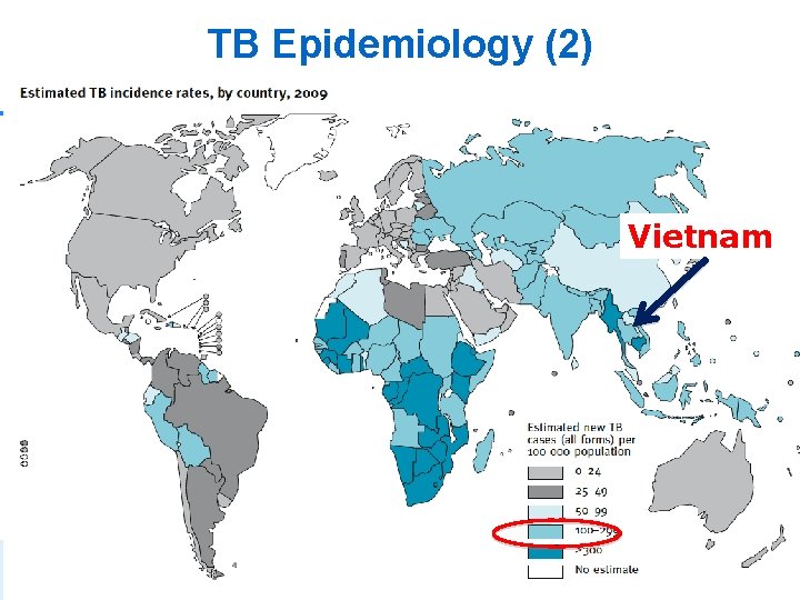 TB Epidemiology (2) Global TB Control. WHO 2010 Vietnam 4 