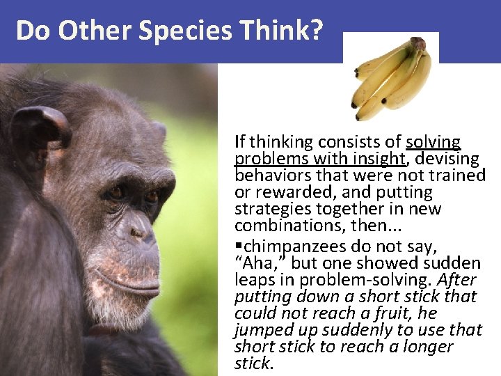 Do Other Species Think? If thinking consists of solving problems with insight, devising behaviors